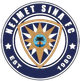 奈梅特西奈 logo