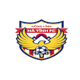 河静红林U21 logo