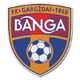 邦加女足 logo