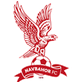 纳弗巴霍女足 logo