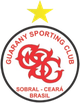 瓜拉尼德U20 logo