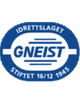 格耐斯特 logo