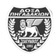 皮加达女足 logo
