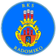 RKS雷多美高 logo