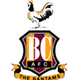 巴拉福特女足 logo