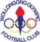 卧龙岗奥运 logo